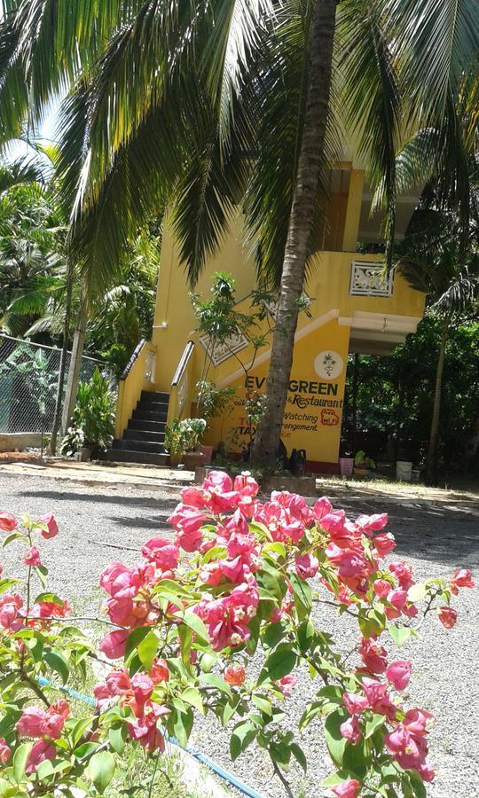 Ever Green Mirissa Exterior photo