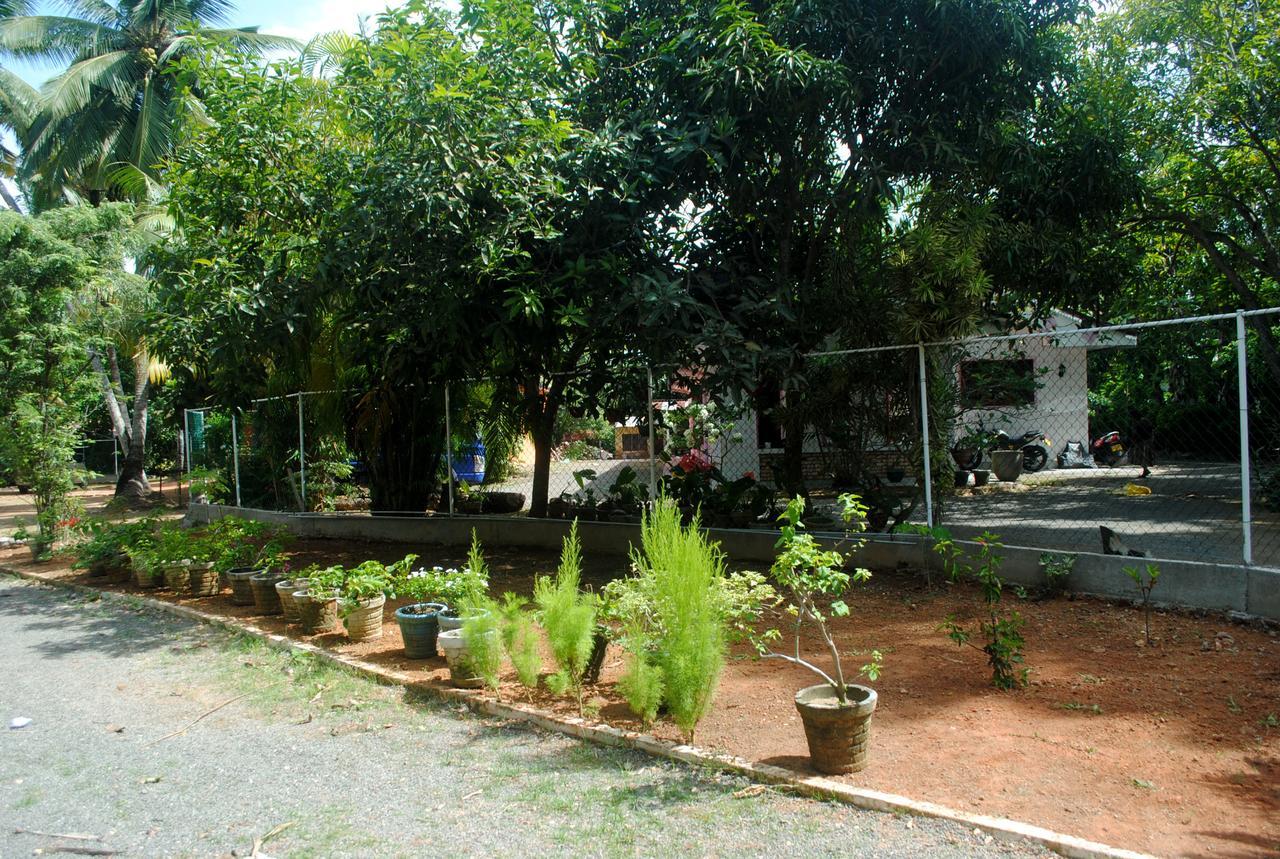 Ever Green Mirissa Exterior photo