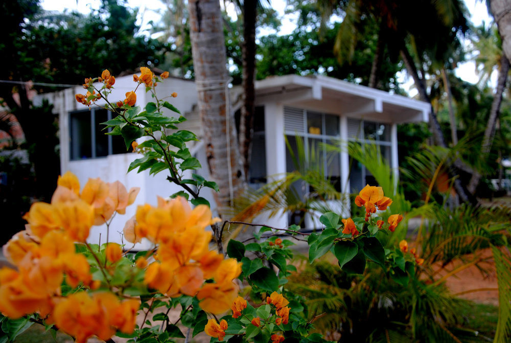 Ever Green Mirissa Exterior photo